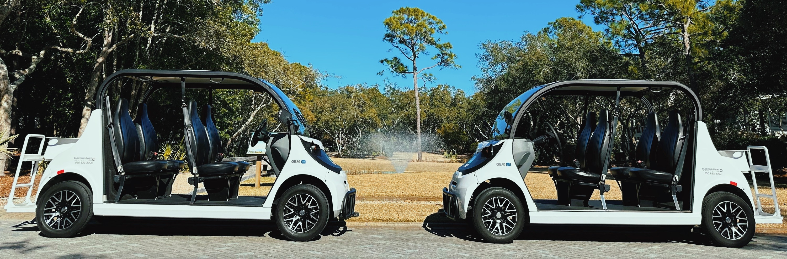 Watercolor Exclusive Fleet Electric Cart Company SANTA ROSA BEACH